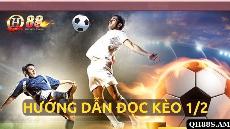 Hướng Dẫn Đọc Kèo 1/2 Là Gì Tại Nhà Cái onbet Cho Người Mới